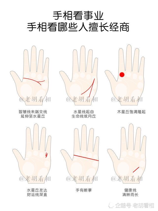 其中一条支线向上延伸至水星丘,有此手相特征的人头脑聪明,极具经商