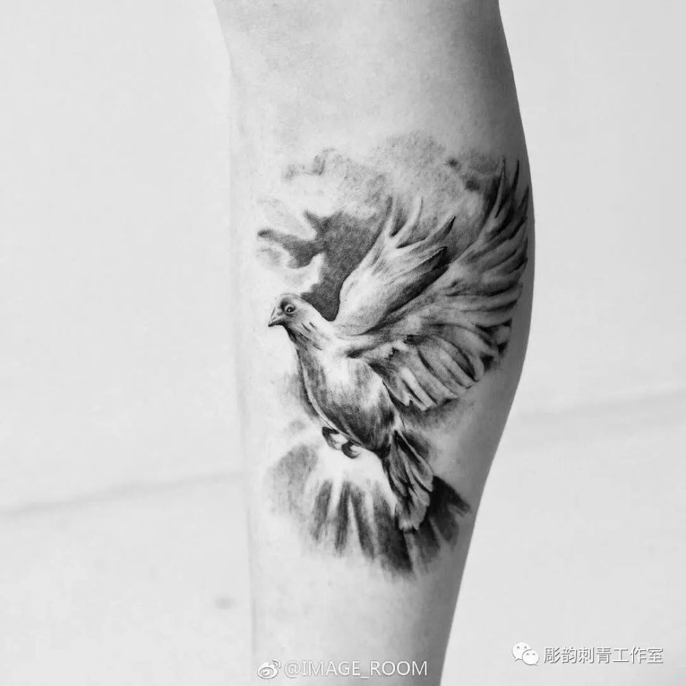 《鸽子》——纹身刺青图集