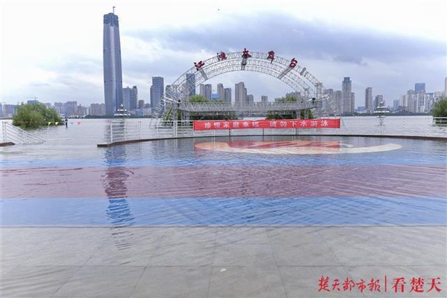 武汉漫入人口_武汉人口增长图(2)