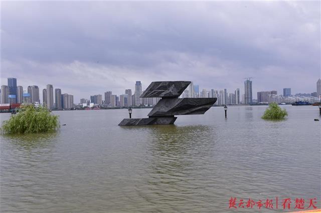 武汉漫入人口_武汉人口增长图(3)