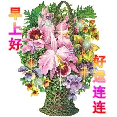 7月早上好问候朋友带字表情图片,早安祝福句子