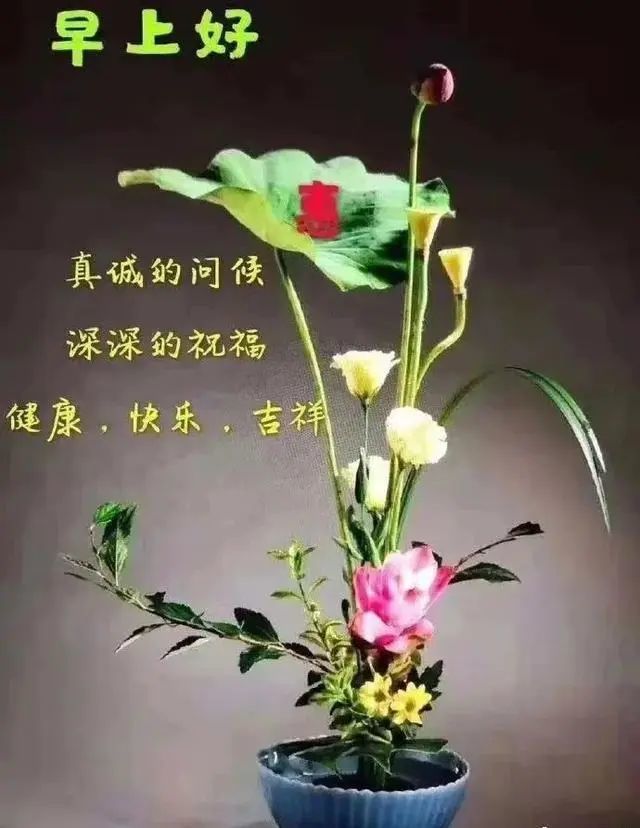 4月6日最新版早上好问候语句早晨好祝福图片表情带字