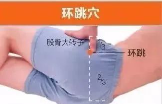 穴位位置不论是提到臀部中的臀大肌,臀小肌,梨状肌,还是臀肌筋膜,坐骨
