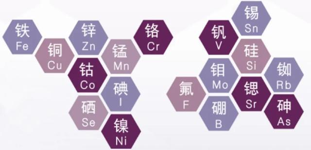 世界卫生组织公布的人体必需的微量元素有14种,它们分别是铁,铜,锌,钴