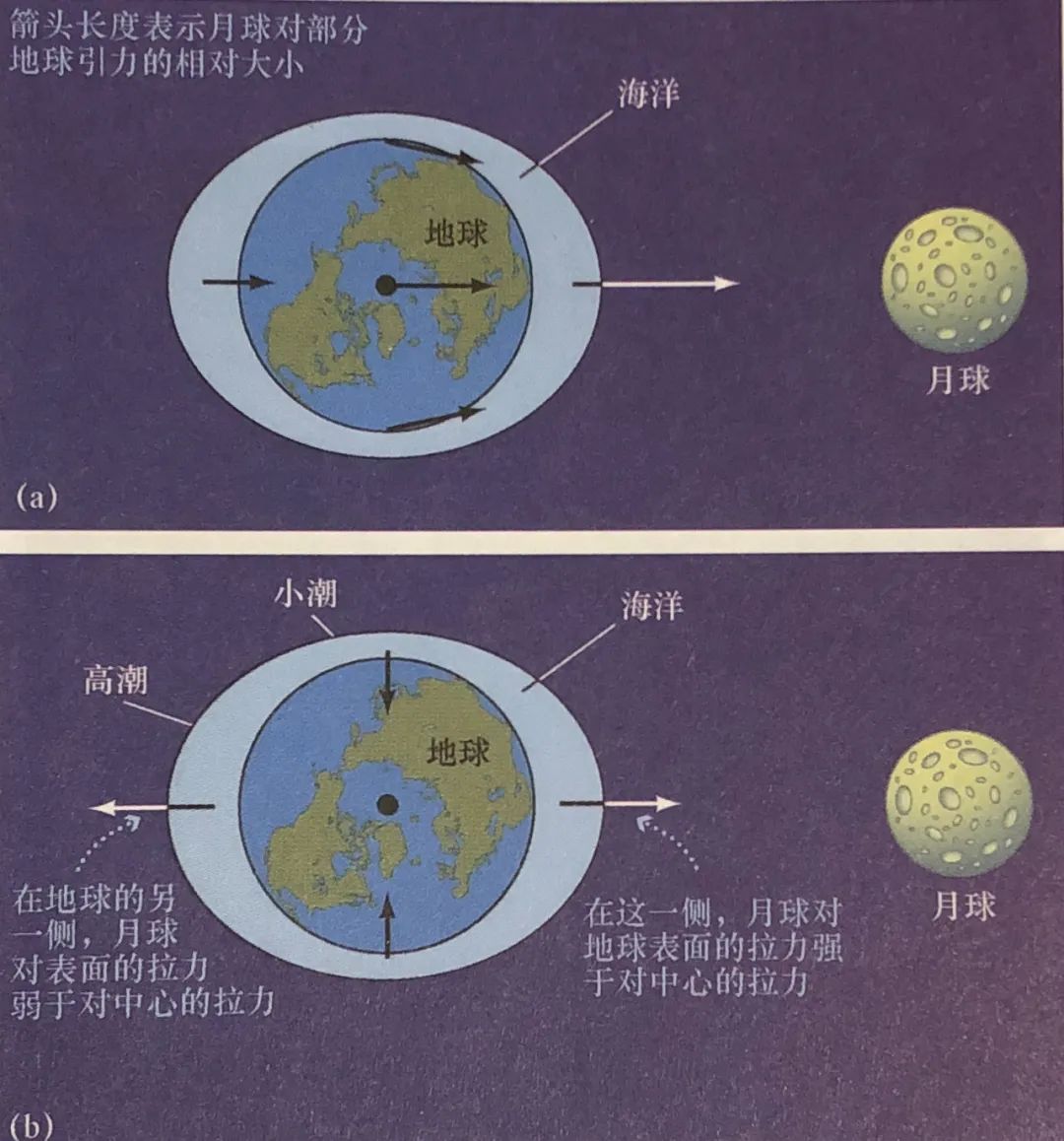 月亮的潮汐力示意图
