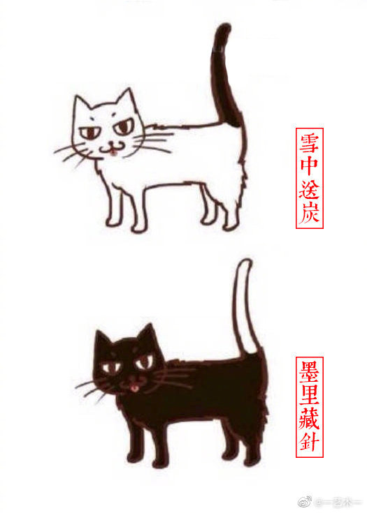 中国古代相猫术