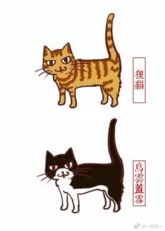 中国古代相猫术