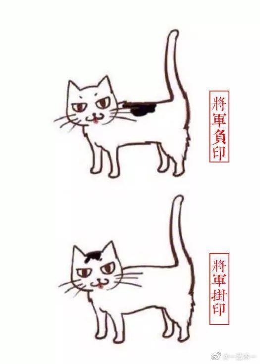 中国古代相猫术