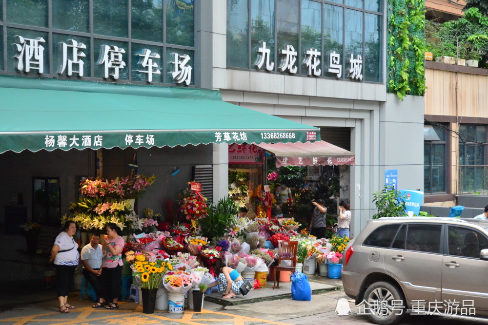 重庆杨家坪花鸟市场,缺点成串环境差,却因周冬雨与易烊千玺而火