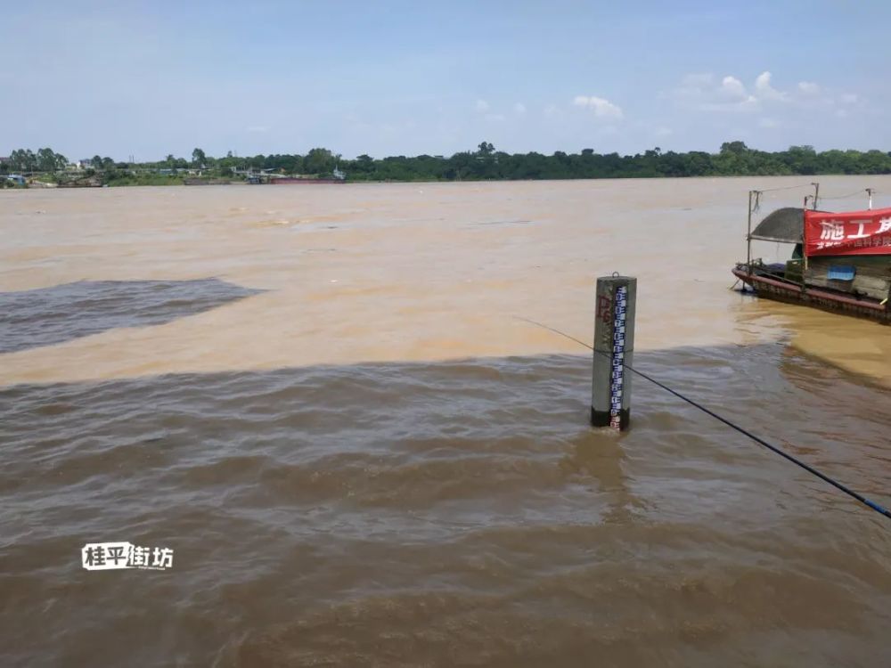 桂平黔江水位今日已超警戒线,你去看洪水了吗