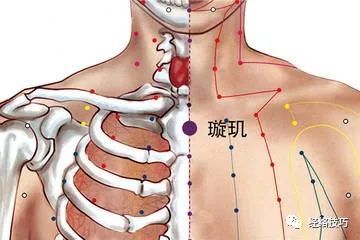 【璇玑穴的位置】位于人体胸部,当前正中线上,天突穴下1寸.