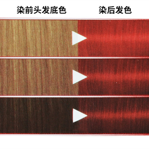 鲸落大海：海洋元素单品推荐