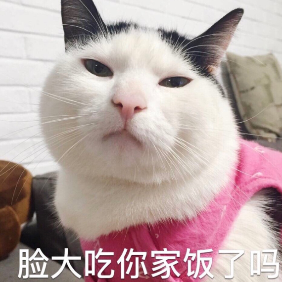 萌宠表情包专属