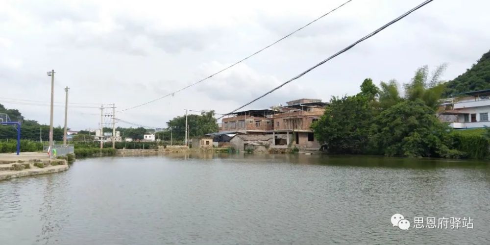 走进武鸣双桥书香世家,伊岭雅亭屯见闻_腾讯新闻