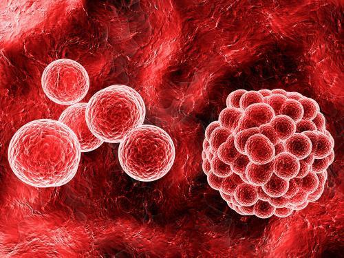 夏天一吃荔枝就上火、流鼻血？要想健康吃荔枝，学会这几步