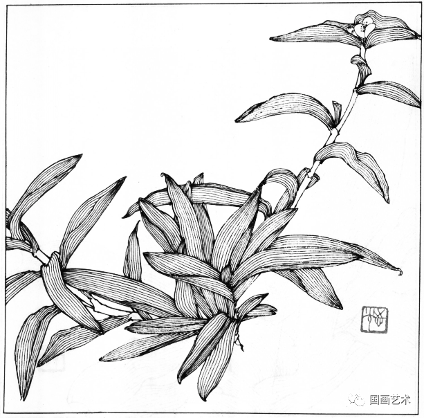 白描百花五