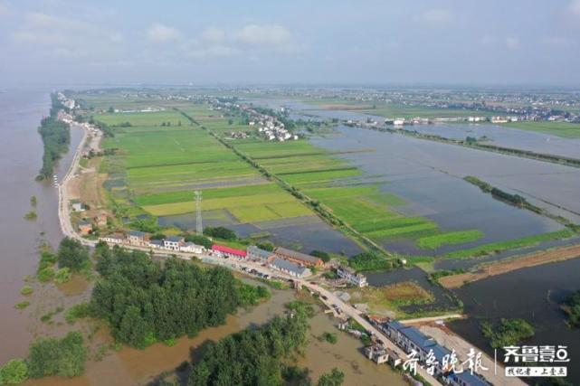 航拍九江江洲镇:水位略降但仍有内涝,部分田地被淹