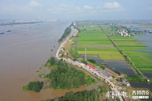 航拍九江江洲镇:水位略降但仍有内涝,部分田地被淹