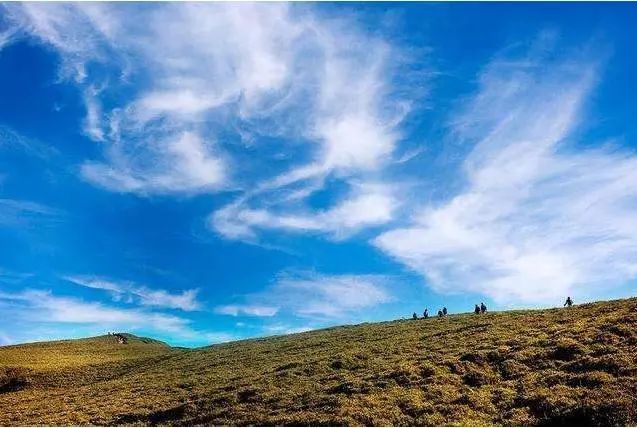 去爬山怎么穿搭夏_穿瑜伽裤爬山