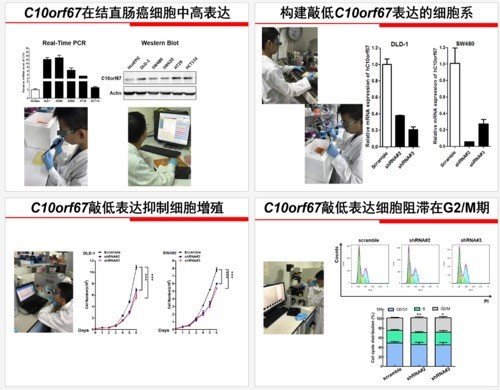 小学生研究癌症治疗获全国奖实验中不懂“基因”是啥