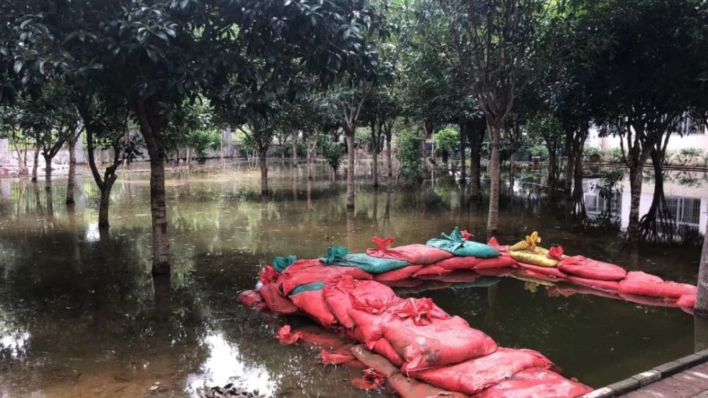 仙桃沙湖人口_仙桃沙湖湿地公园