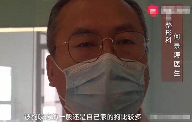 “我的狗从不咬人”，女子被自家狗咬伤嘴后，哭诉道：再也不养了