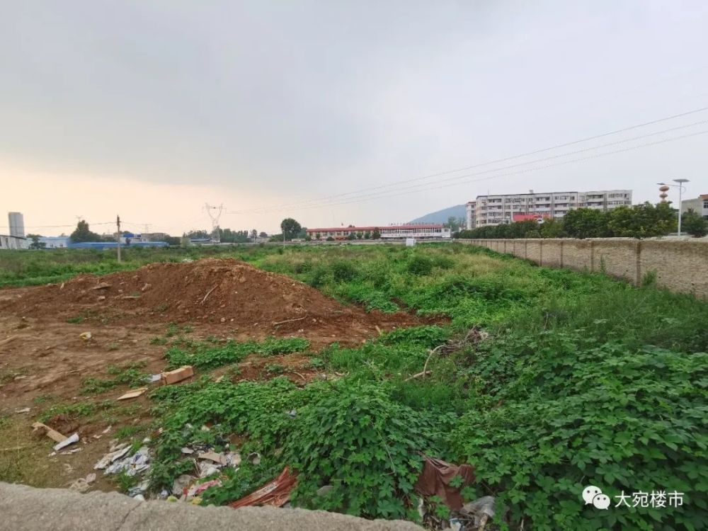 南阳新地王诞生！每亩1186万！就问郑州洛阳服不服？
