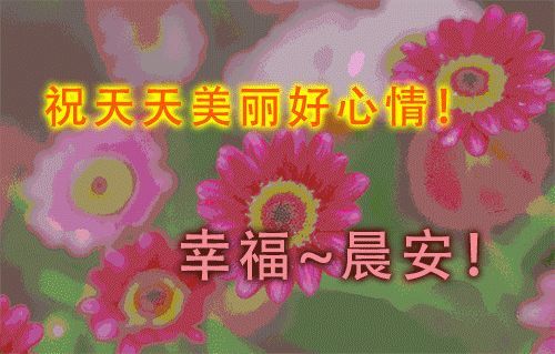 问候朋友早上好图片动态表情,夏天最新早安祝福语