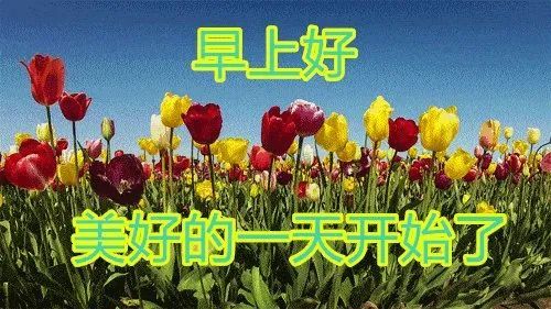 问候朋友早上好图片动态表情,夏天最新早安祝福语