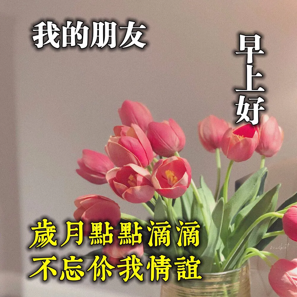 问候朋友早上好祝福表情问候图片动态 7月最新款早安祝福问候图片