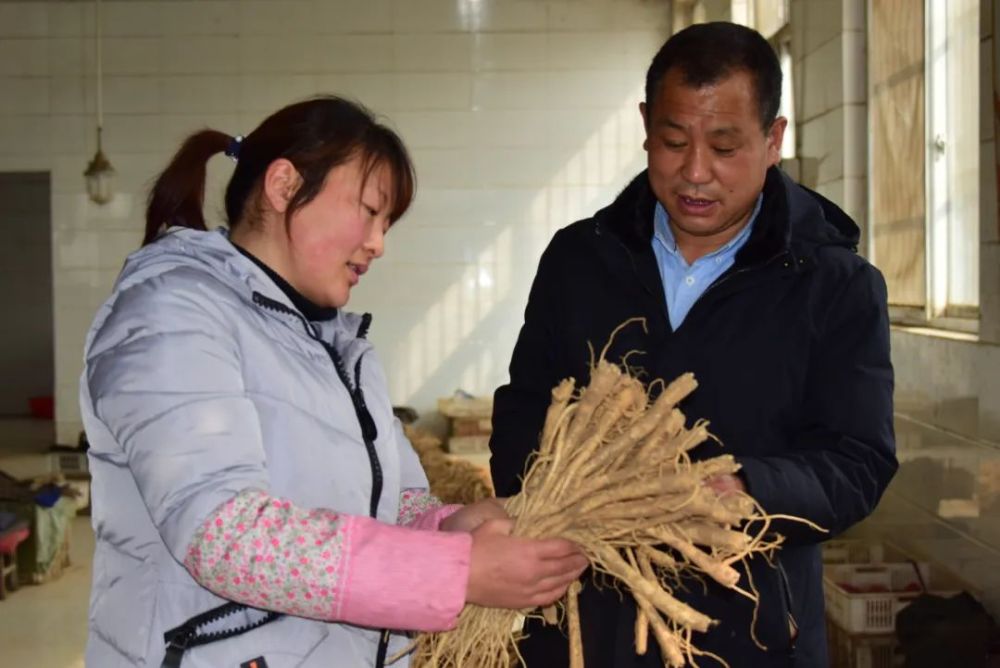 担当作为好支书陈丙福用实干凝聚人心用产业带动致富