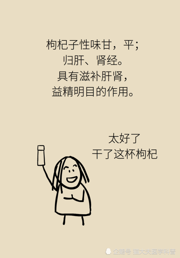 成天喝着泡枸杞，但你真的了解它吗？