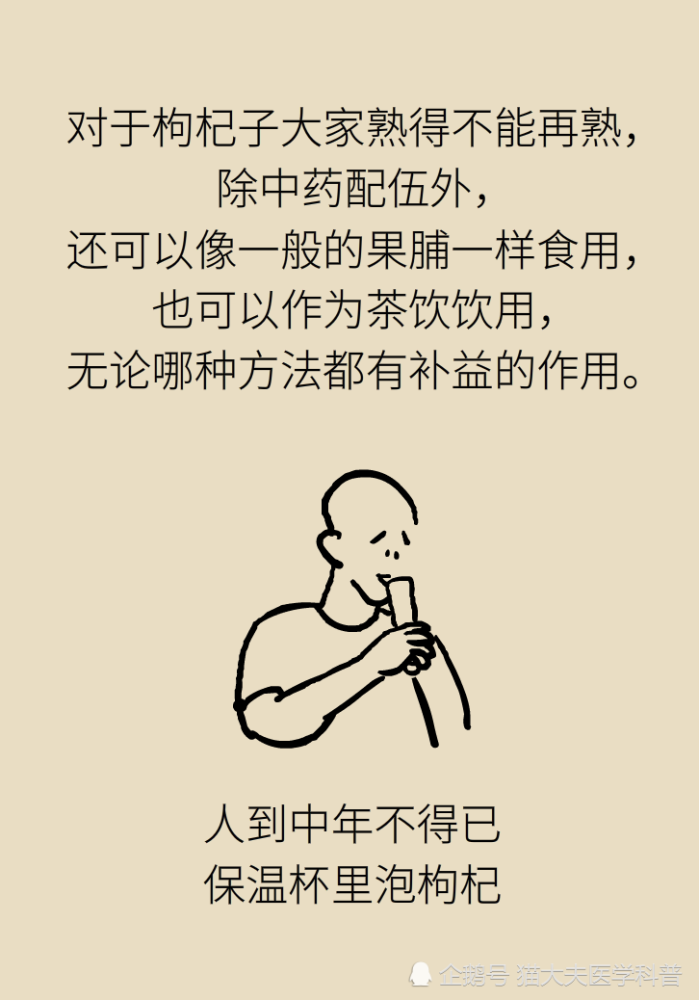 成天喝着泡枸杞，但你真的了解它吗？