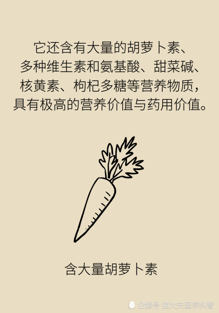 成天喝着泡枸杞，但你真的了解它吗？