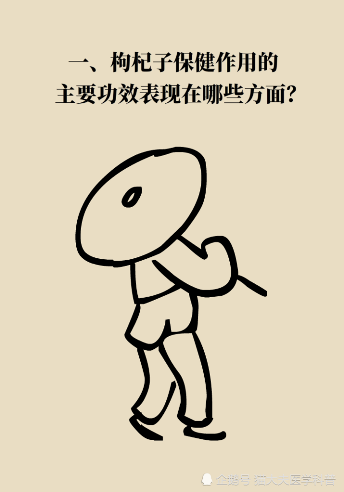 成天喝着泡枸杞，但你真的了解它吗？