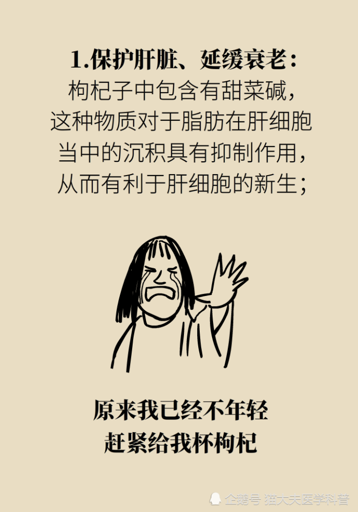 成天喝着泡枸杞，但你真的了解它吗？