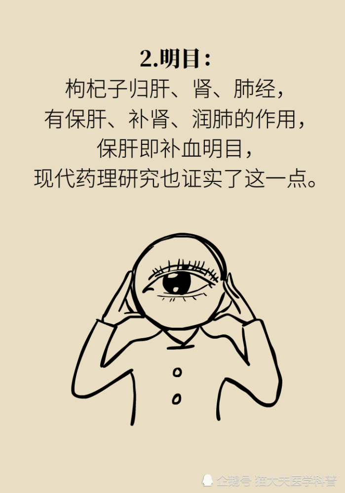 成天喝着泡枸杞，但你真的了解它吗？