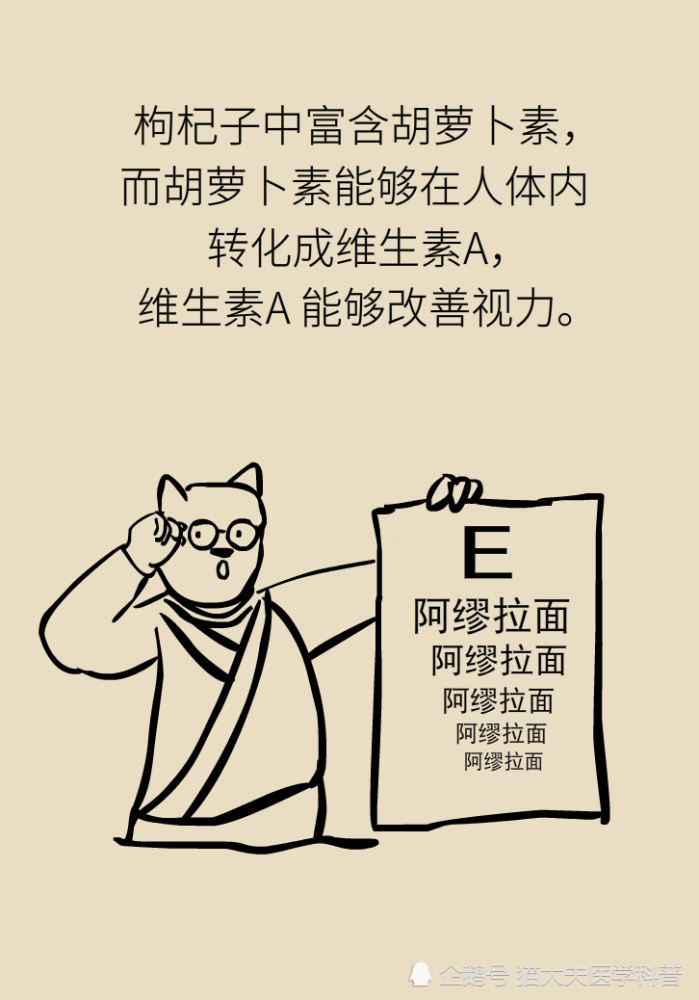 成天喝着泡枸杞，但你真的了解它吗？