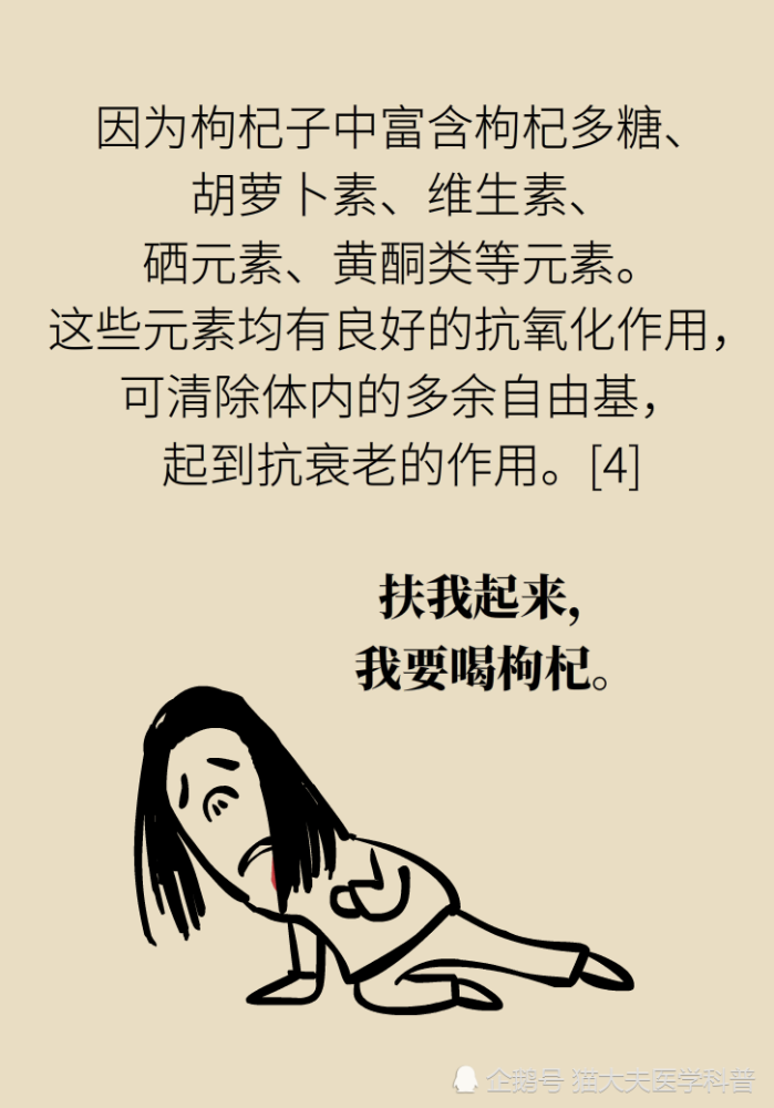 成天喝着泡枸杞，但你真的了解它吗？