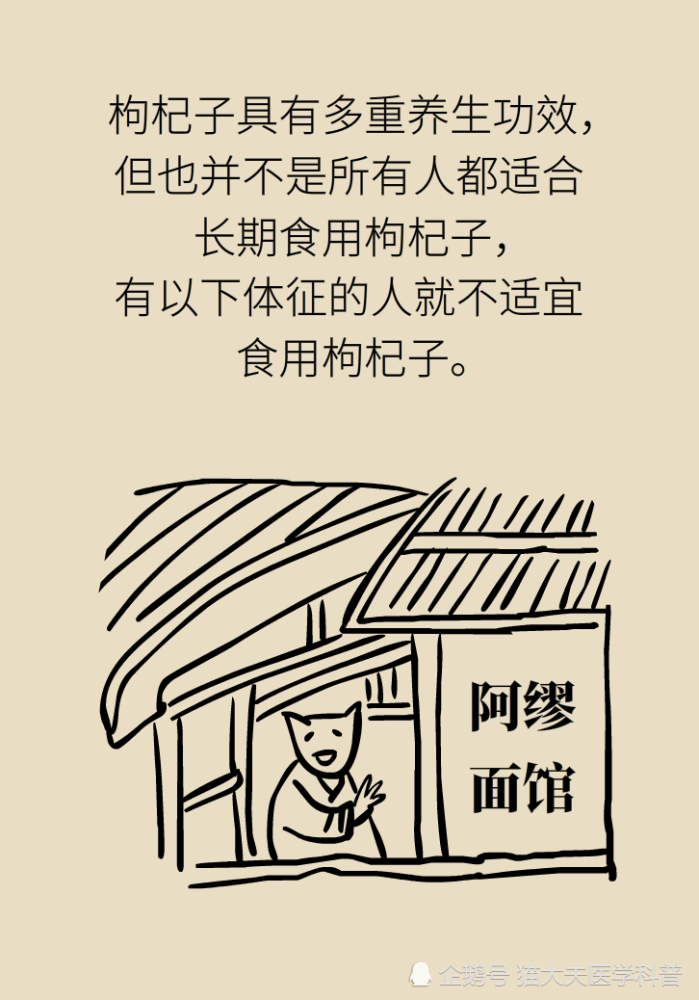 成天喝着泡枸杞，但你真的了解它吗？