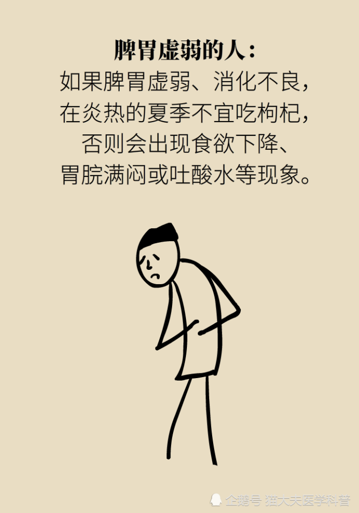 成天喝着泡枸杞，但你真的了解它吗？