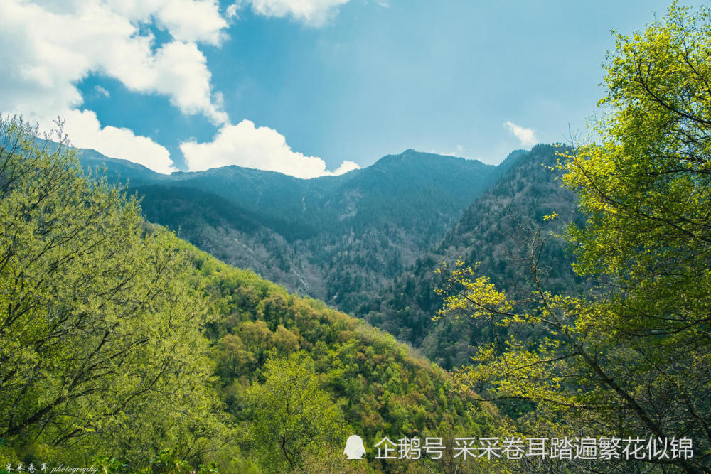 海子众多,森林茂密,夏避暑秋赏景,四川茂县这处风景你了解吗?