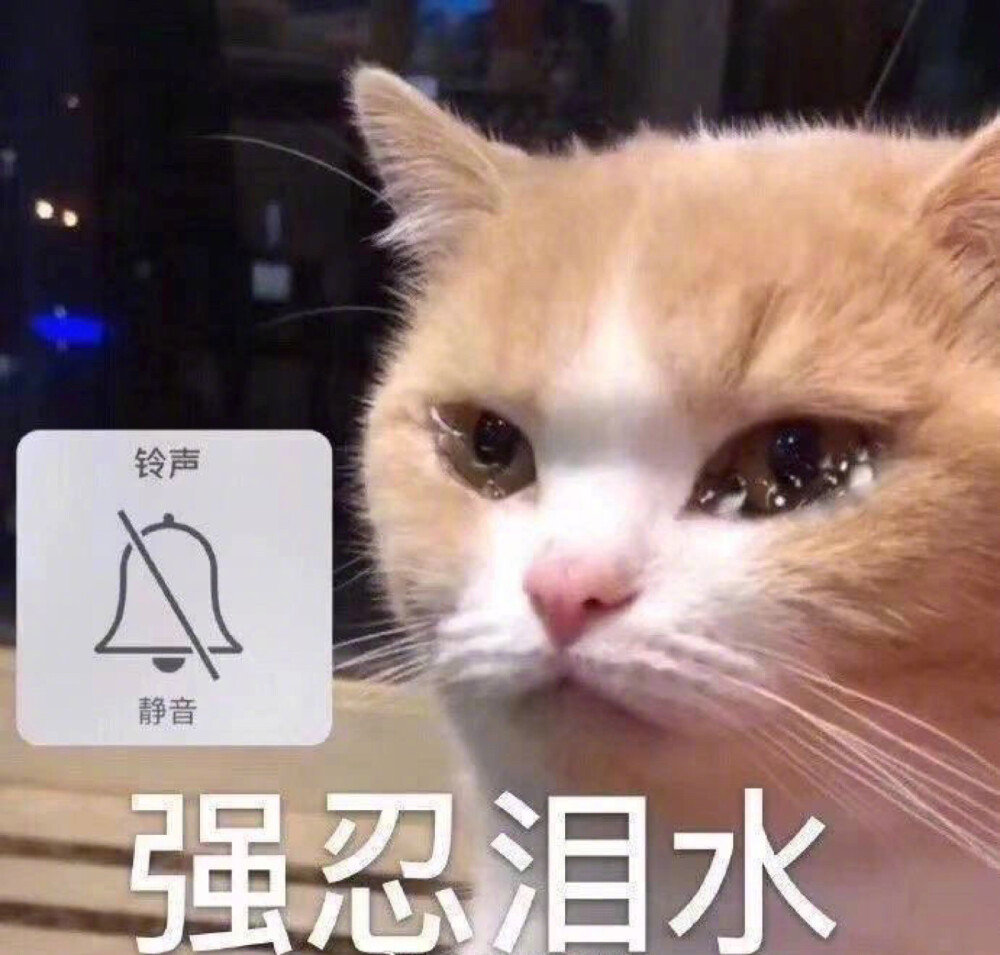 可怜巴巴斗图表情包