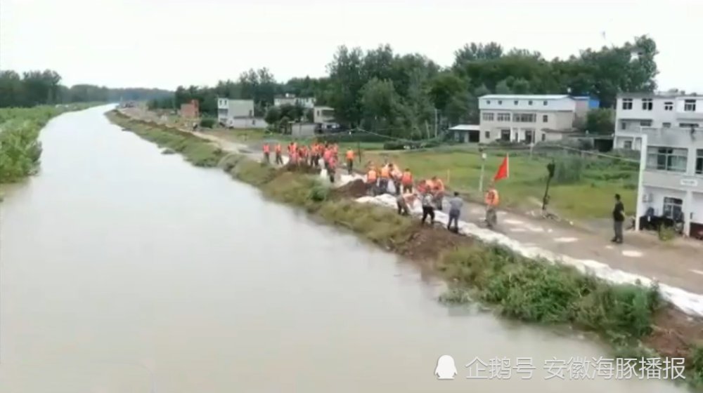 好力保镇人口