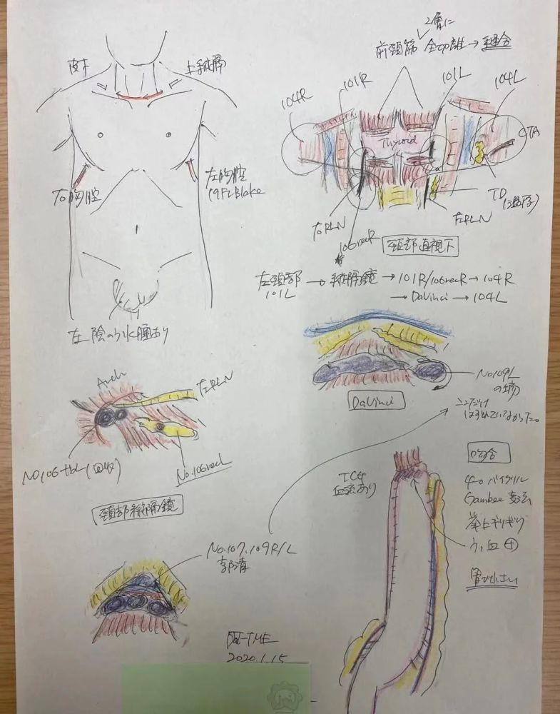 为什么日本的医生总是看起来很“闲”？