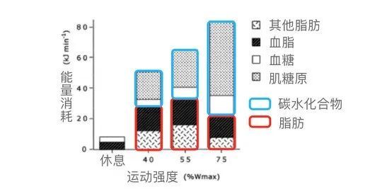 营养师团拍了拍你的小肚腩并说该运动了