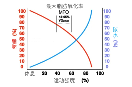营养师团拍了拍你的小肚腩并说该运动了