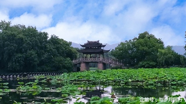 西湖十景之"曲院风荷"