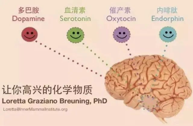 影响抑郁症的3大脑神经递质总结