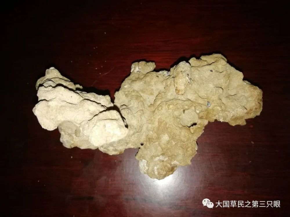 二货上师专的时候,周末也没什么事儿,就带着杨占芳同学东溜西逛,除了